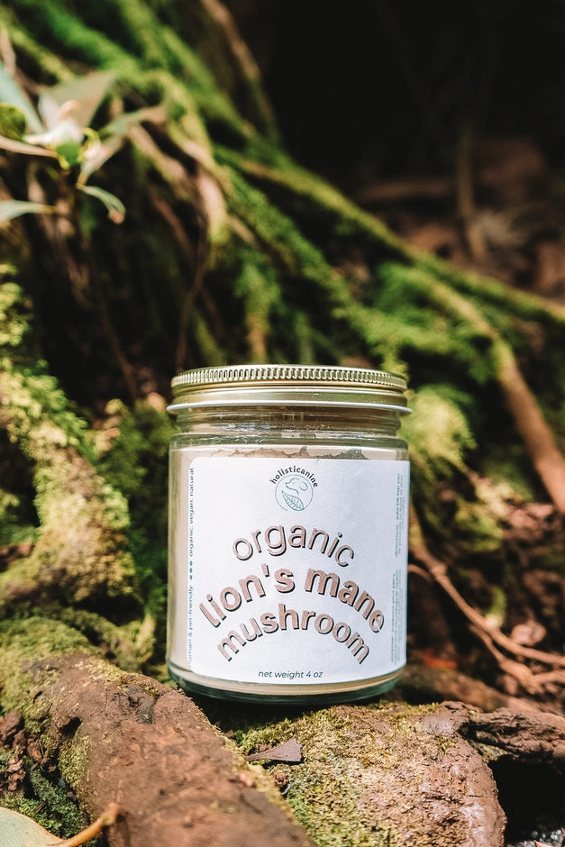 Organic Lion's Mane Mushroom Supplement