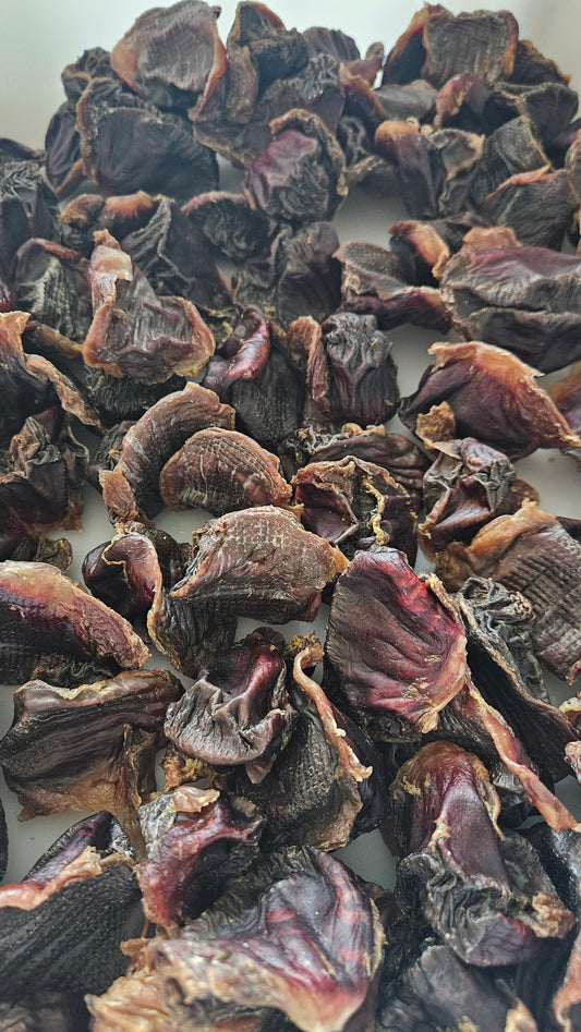 “Dehydrated Turkey Gizzards for Dogs and Cats — Raw Instincts Florida”