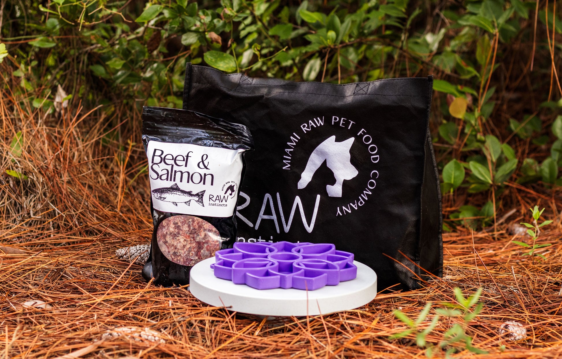 Human-Grade Raw Beef & Wild Salmon Surf and Turf PMR — Florida Sourced — Raw Instincts Pet Food