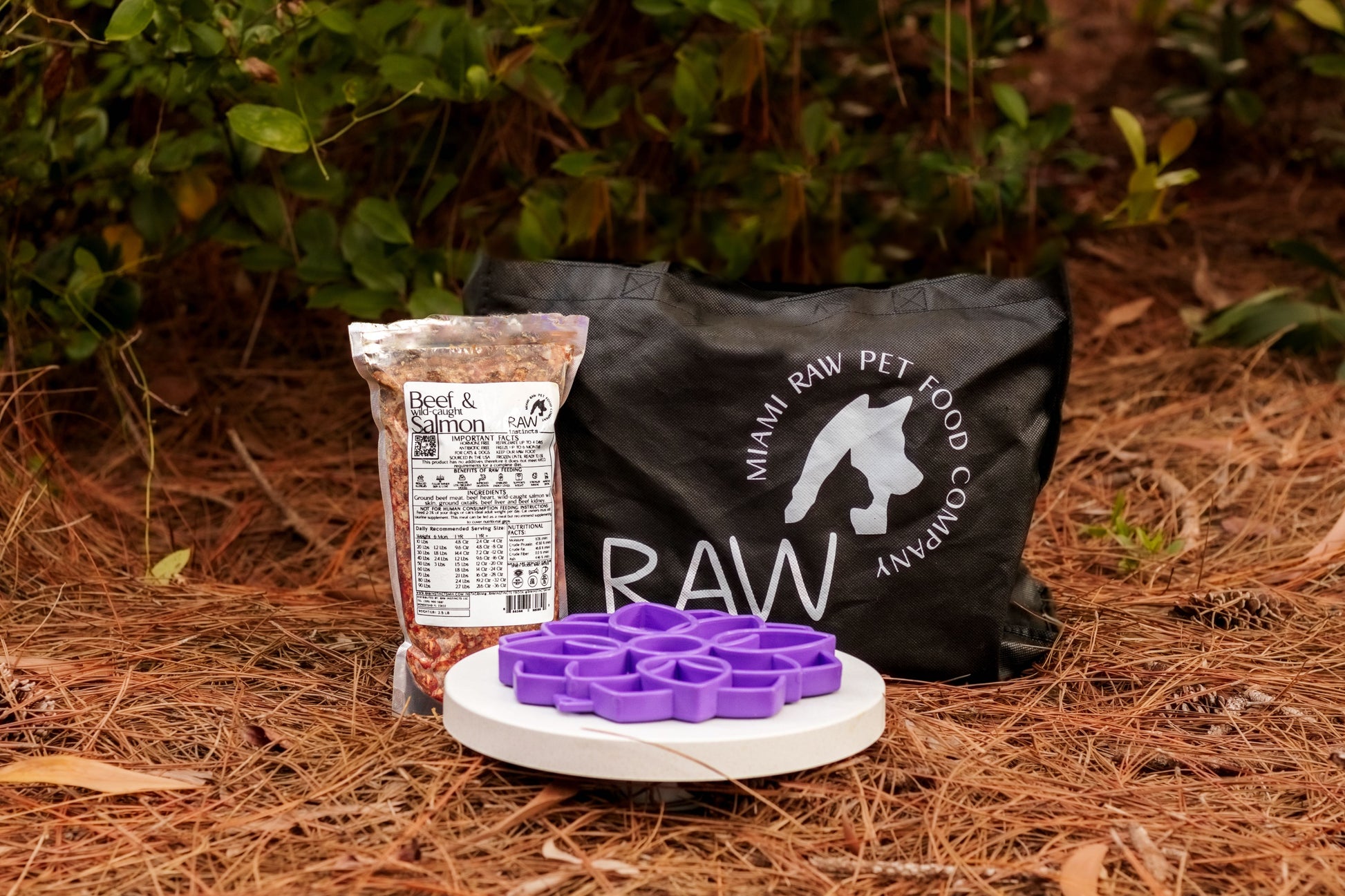 Human-Grade Raw Beef & Wild Salmon Surf and Turf PMR — Florida Sourced — Raw Instincts Pet Food
