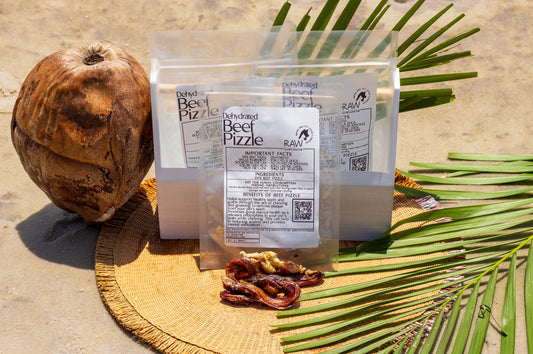 Dehydrated Beef Pizzle Bully Stick for Dogs — Raw Instincts Florida