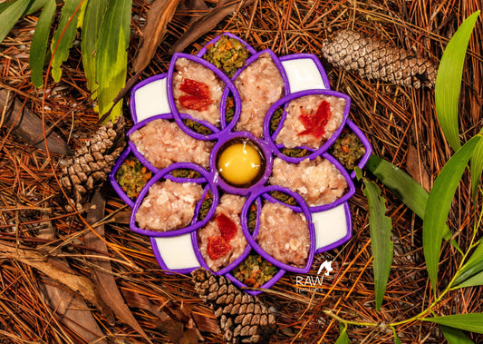 Raw Free-Range Chicken & Turkey PMR Meal Blend for Cats and Dogs — Florida — Raw Instincts