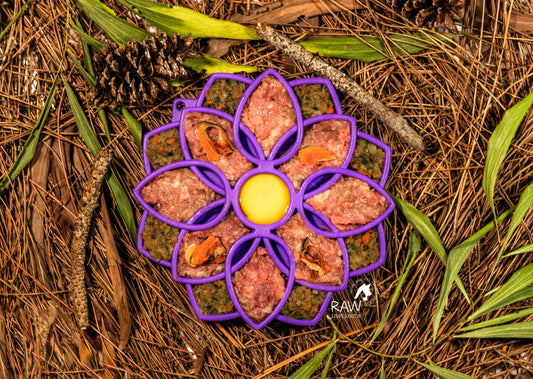 Raw Duck PMR Meal for Cats and Dogs — Free-Range Pekin Duck — Raw Instincts Florida