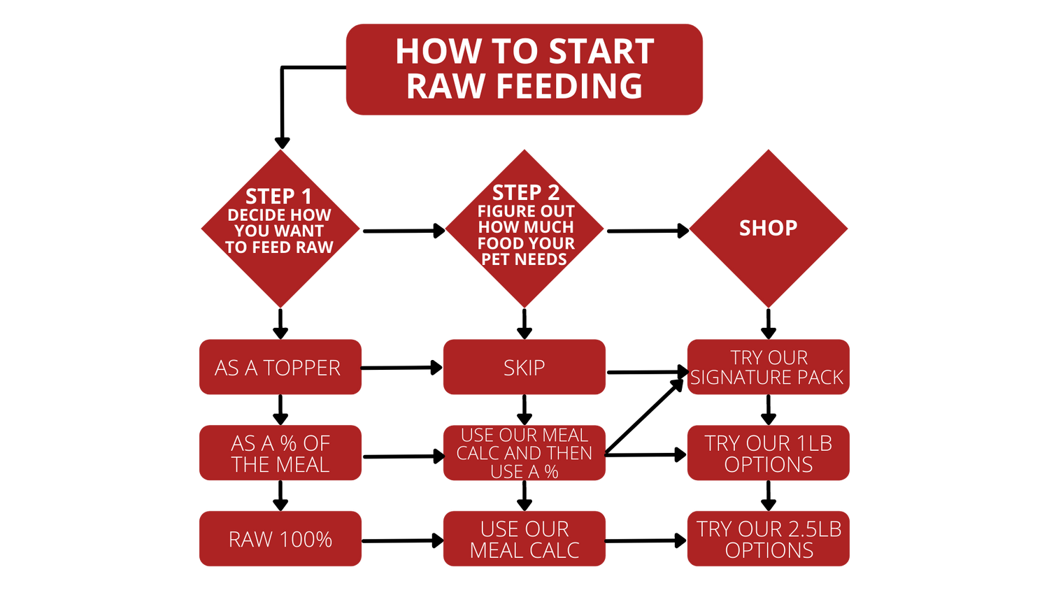 How to start raw feeding
