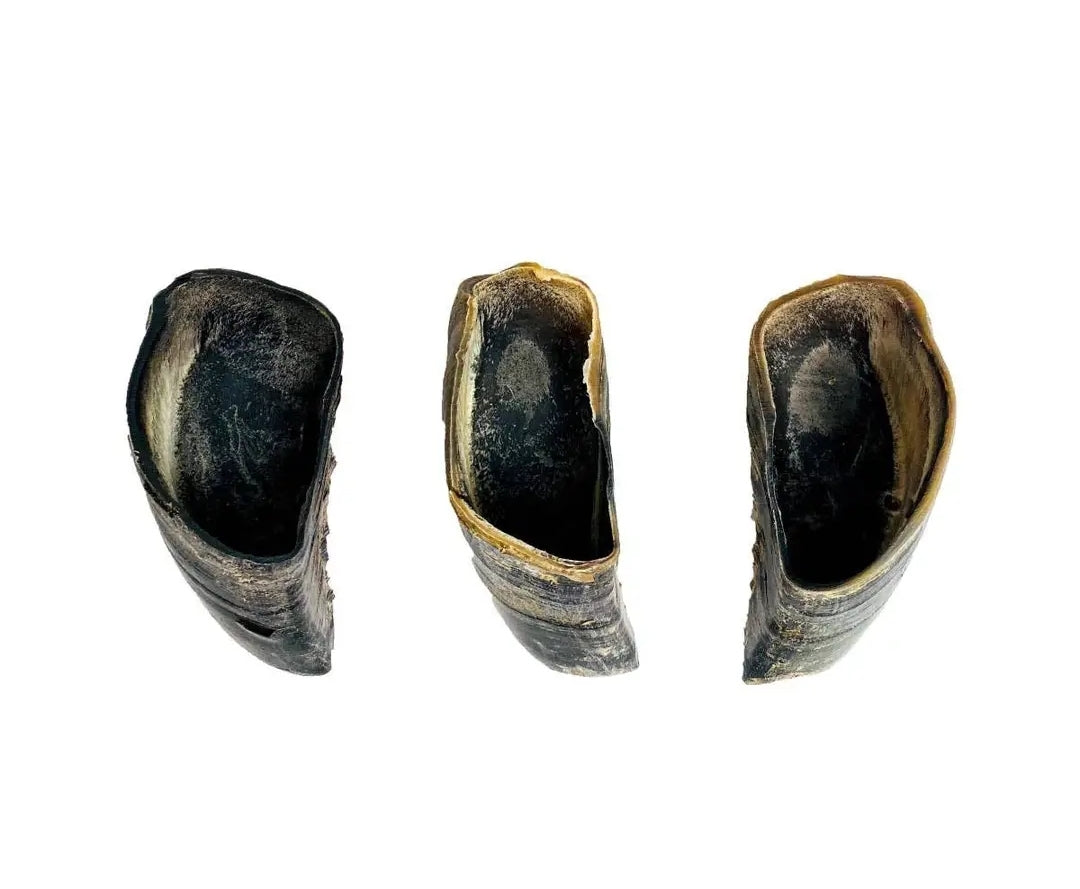 “Dehydrated Cow Hoof for Dogs Long-Lasting Chew — Raw Instincts Florida”