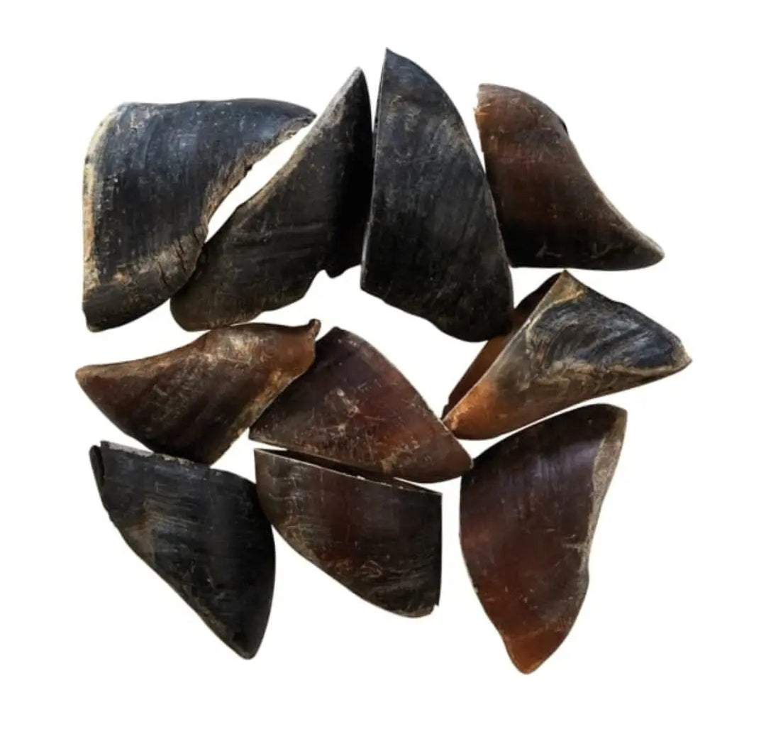 “Dehydrated Cow Hoof for Dogs Long-Lasting Chew — Raw Instincts Florida”