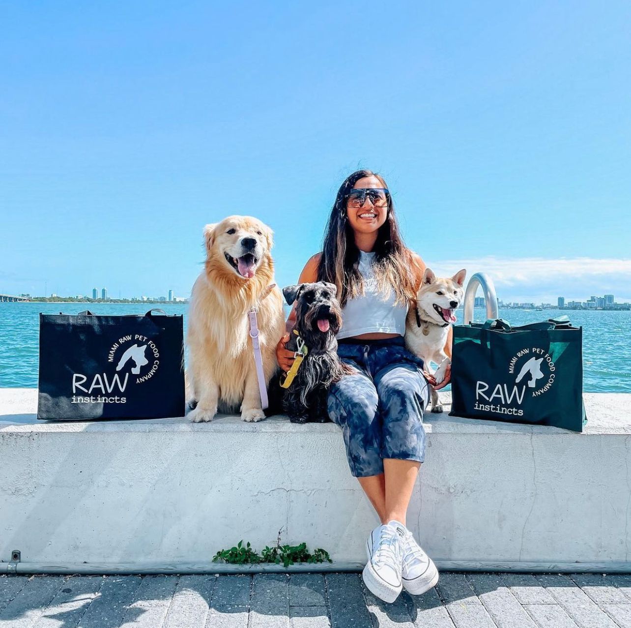 Founder of Raw Instincts Mia with Ziggy and two guest dogs from Doggizen