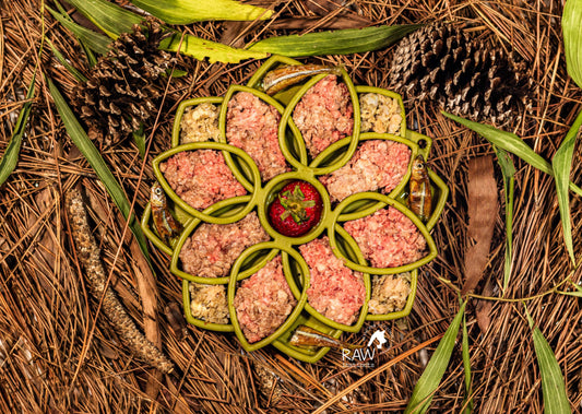 Raw Grass-Fed Bison Meal Blend for Cats, Dogs & Ferrets — PMR Florida Raw Instincts