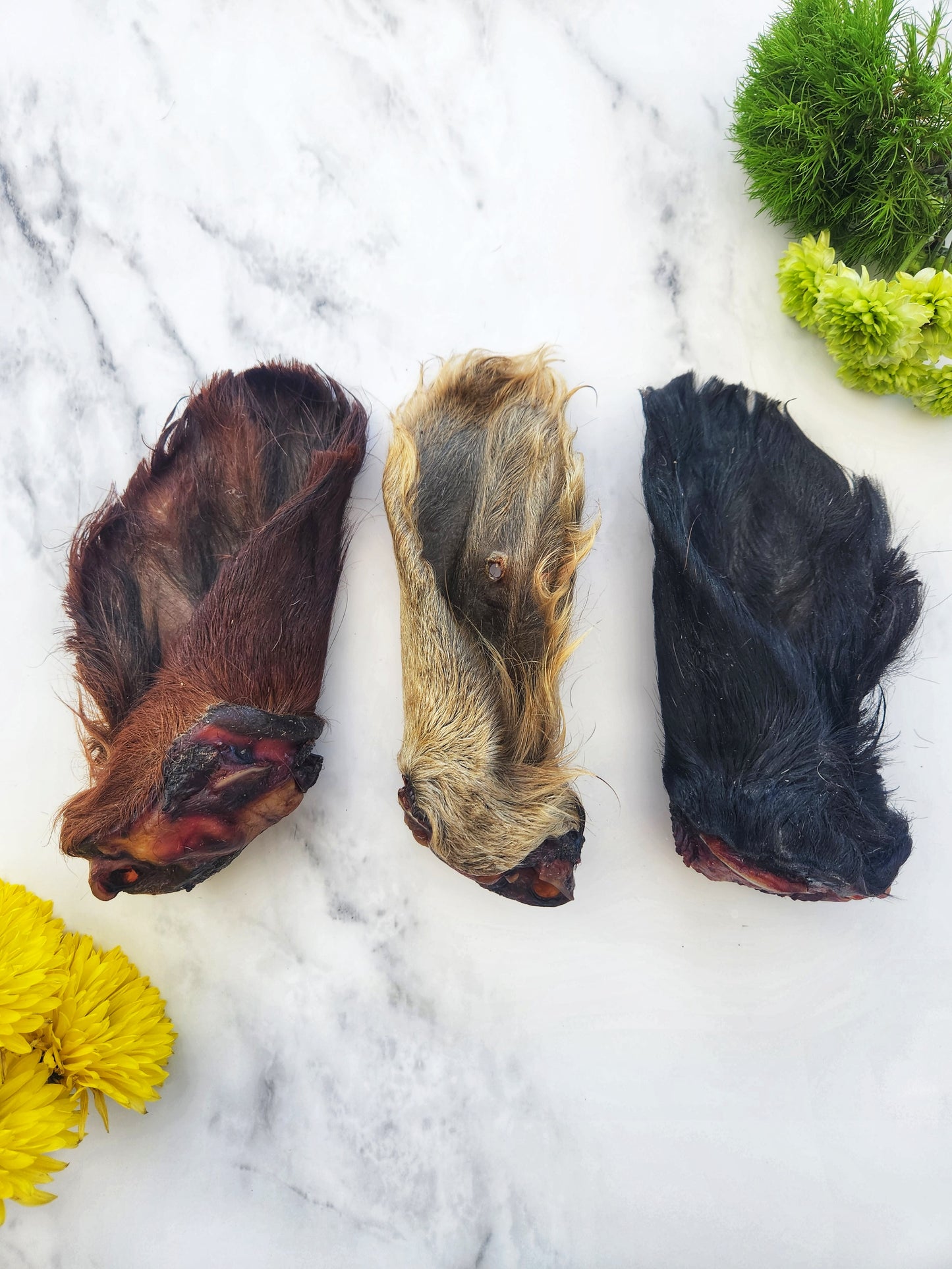 Dehydrated Beef Ear with Hair for Dogs and Cats — Raw Instincts Ocala Florida