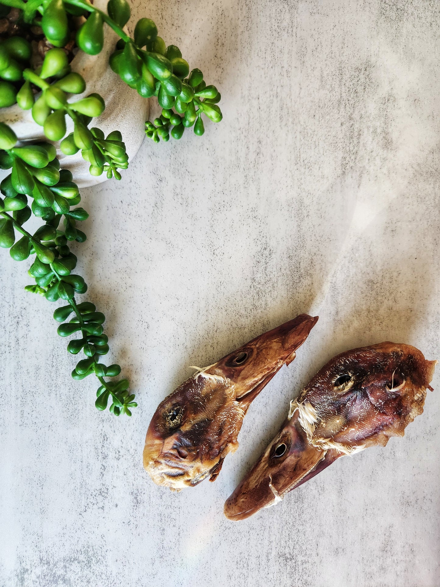 Dehydrated Duck Heads
