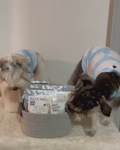 Dogs with Beef and salmon