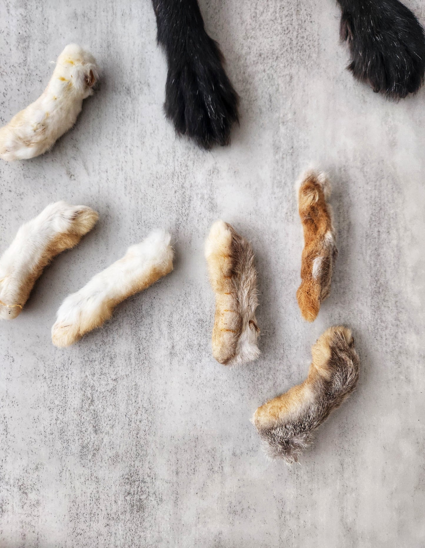Air-Dried Whole Rabbit Feet for Pets – High-Fiber Chew
