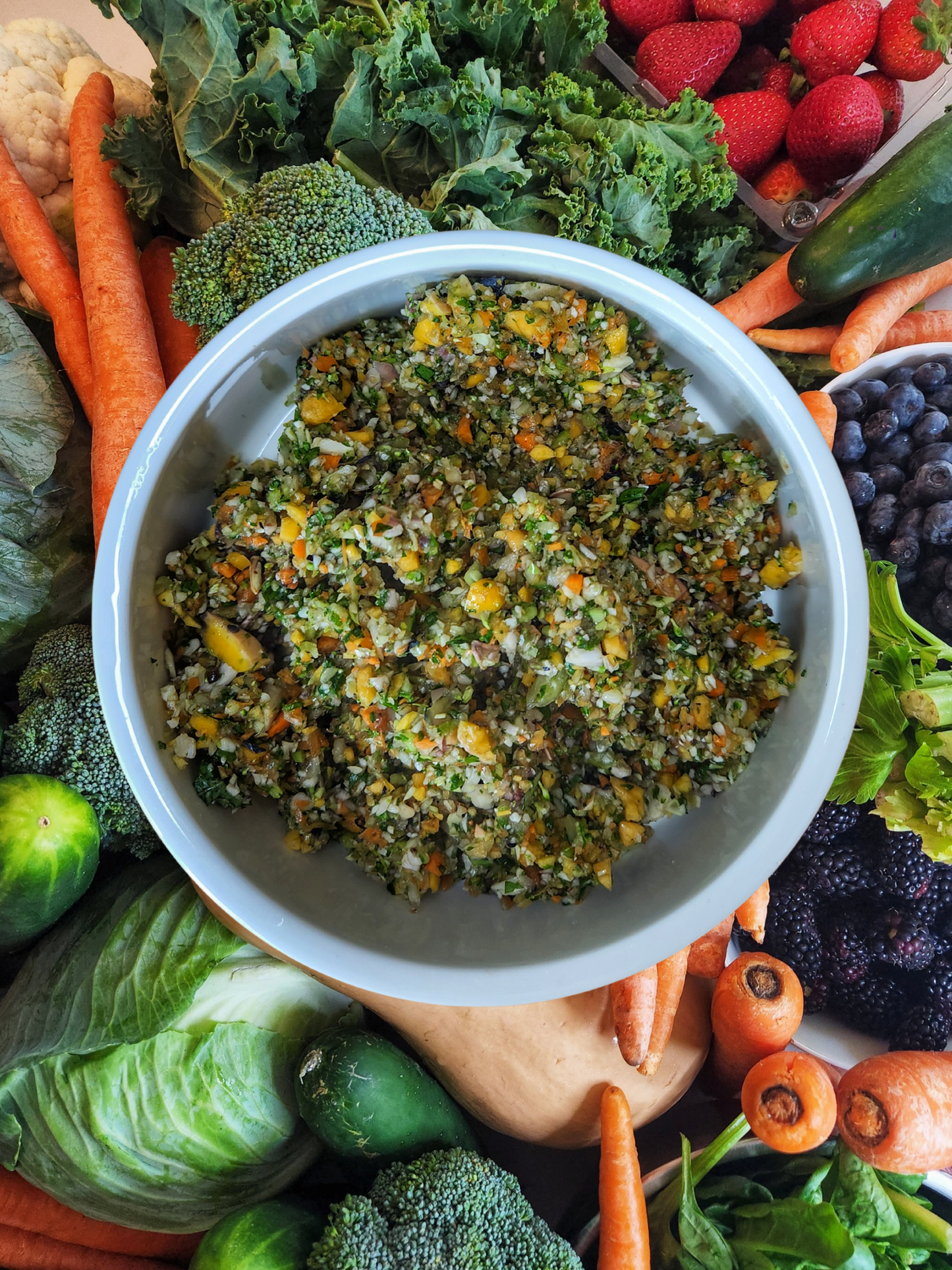 Antioxidant Veggie & Berry Mix for Cats, Dogs, and Ferrets