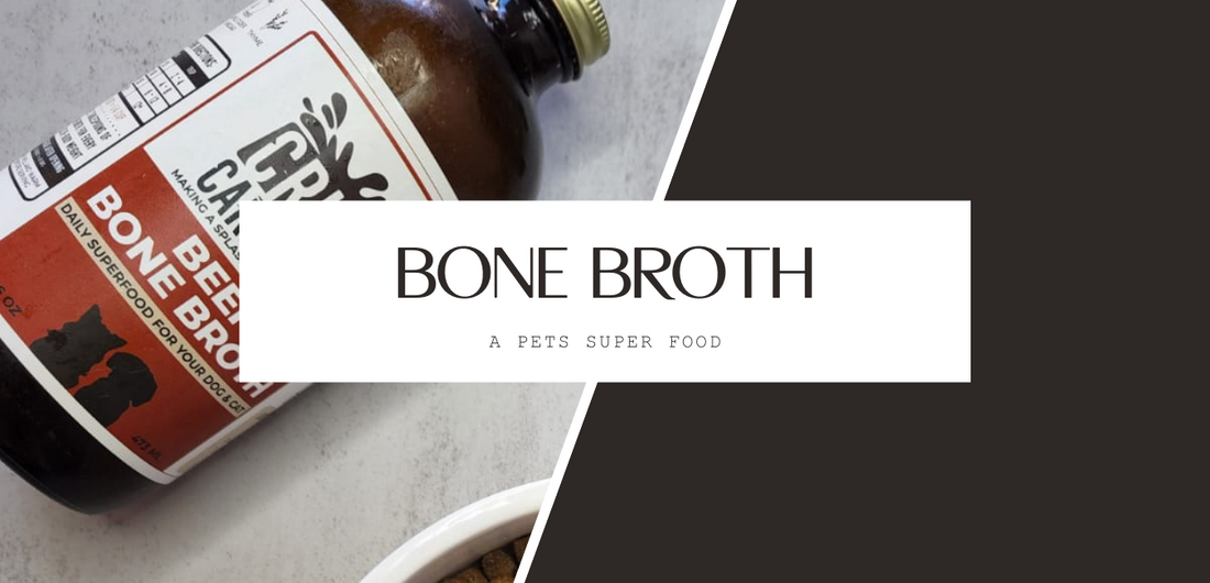 Bone Broth at Pets super food