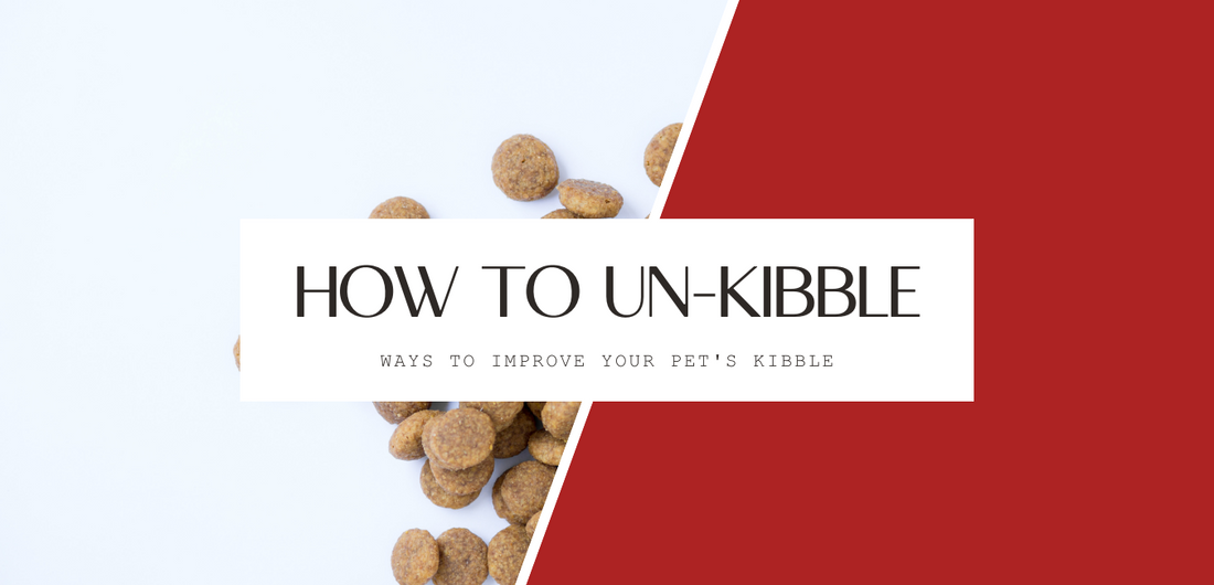 9 Ways to Improve your pets kibble