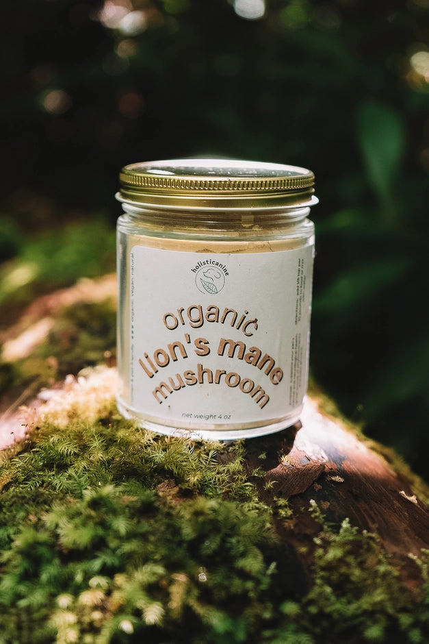 Organic Lion's Mane Mushroom Supplement
