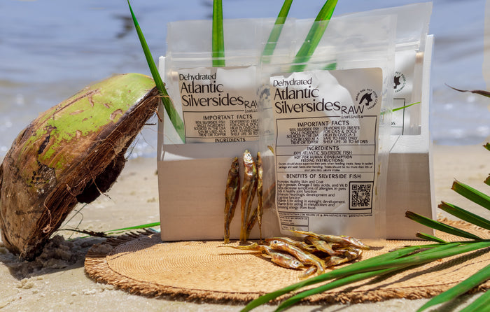Raw Instincts Dehydrated Atlantic Silverside Fish for Pets