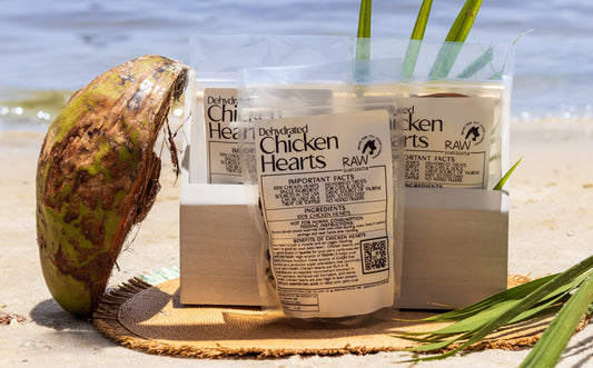Single-Ingredient Chicken Organ Treats – Sourced in Miami FL
