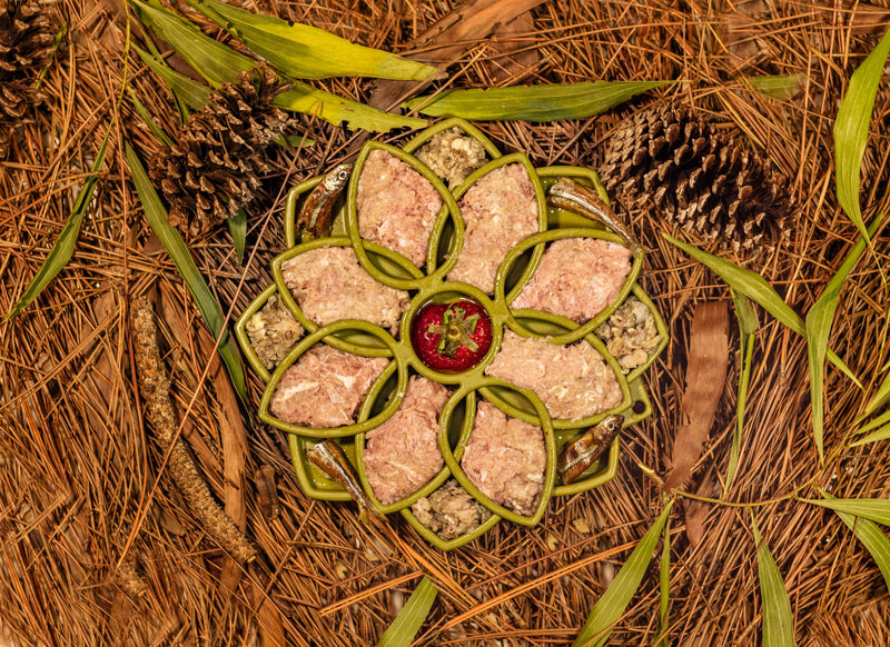 Turkey Raw Meal Blend