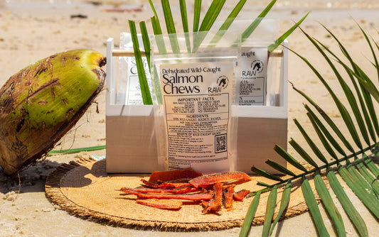 Wild-Caught Salmon Pet Chews – Raw Instincts for Cats and Dogs