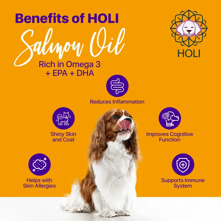 Icelandic Salmon Oil