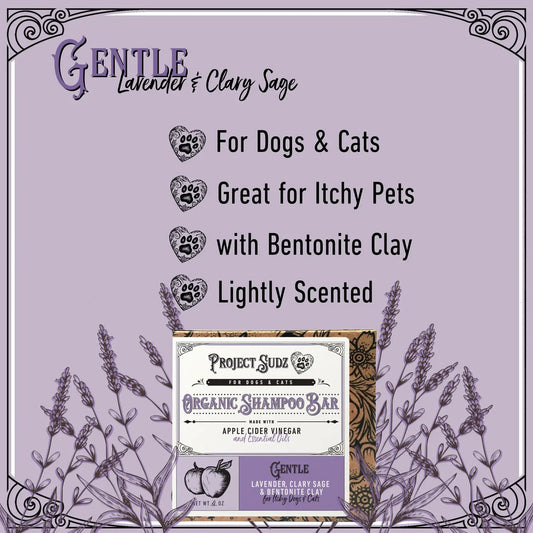 lavender shampoo for dogs and cats
