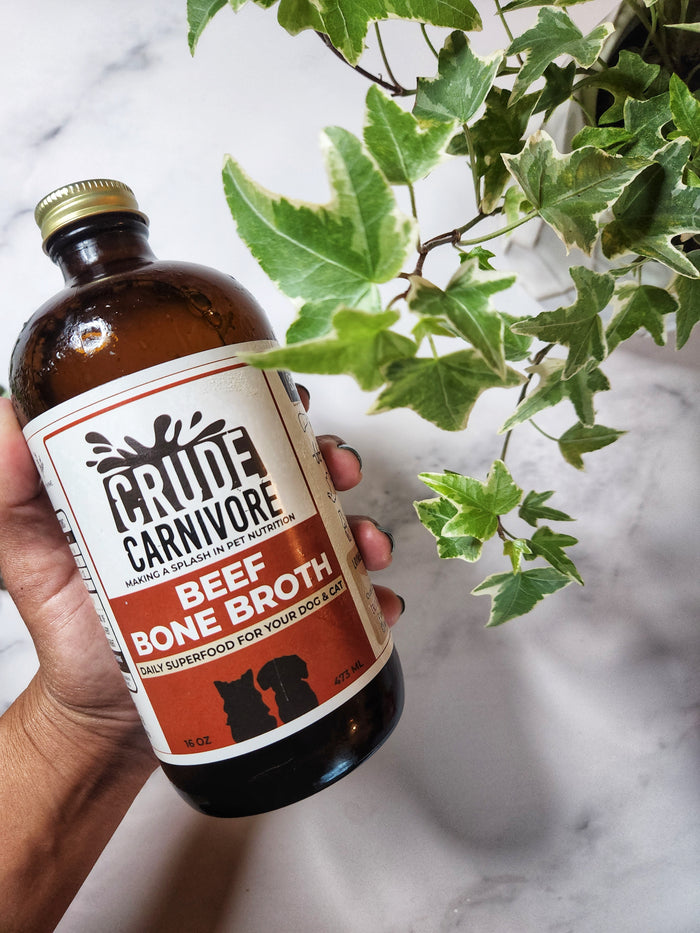 Beef Bone Broth for Pets – 16oz Amber Glass Bottle – Crude Carnivore