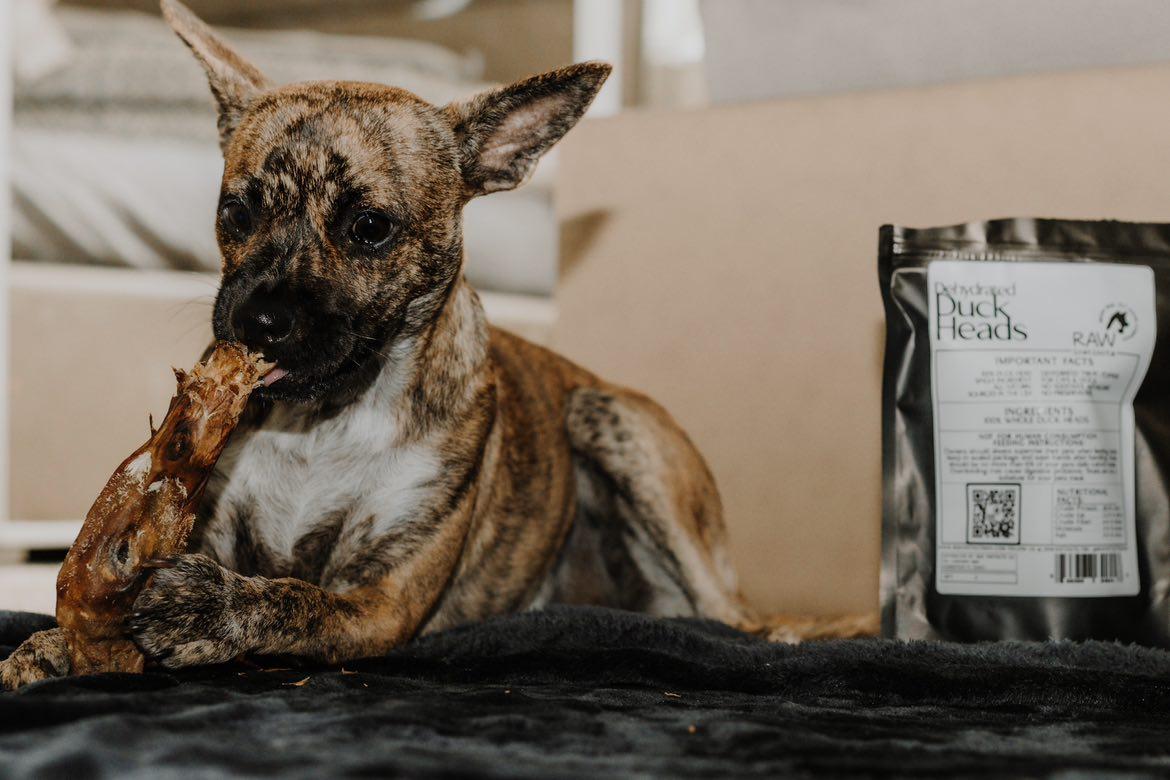 dehydrated duck heads for dogs